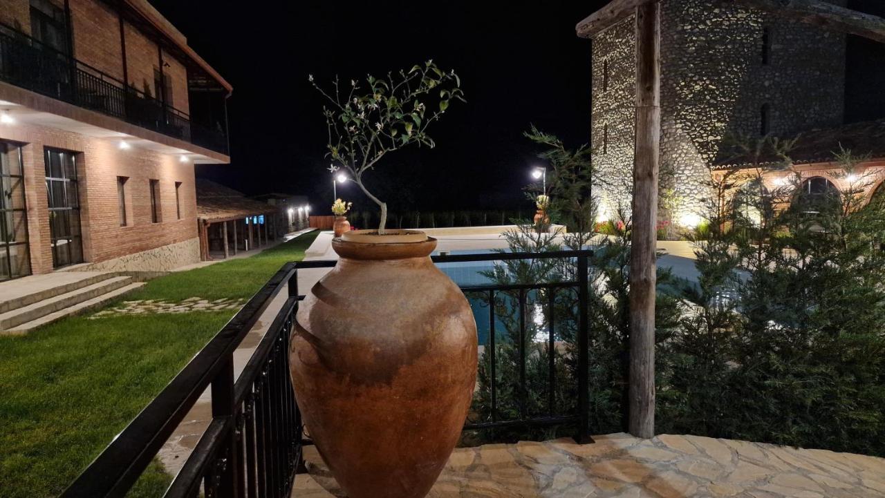 Giorgi Ushikishvilis Chateau-Marani Akhmeta Extérieur photo
