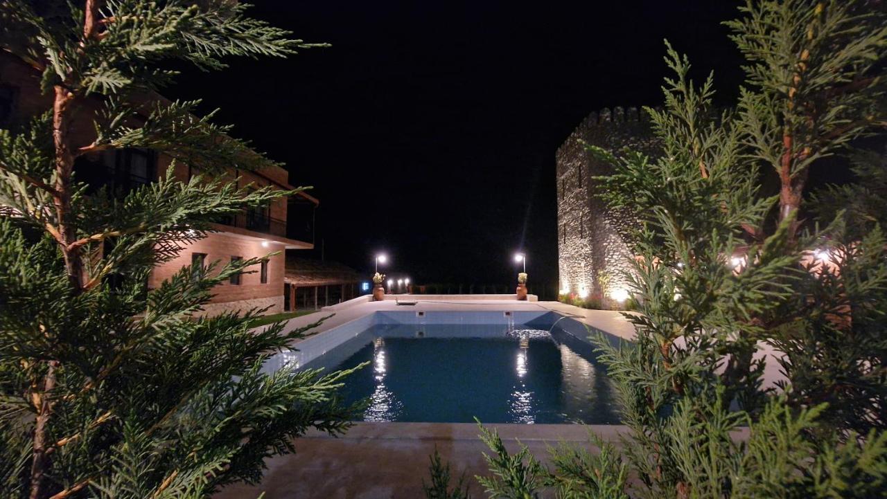 Giorgi Ushikishvilis Chateau-Marani Akhmeta Extérieur photo
