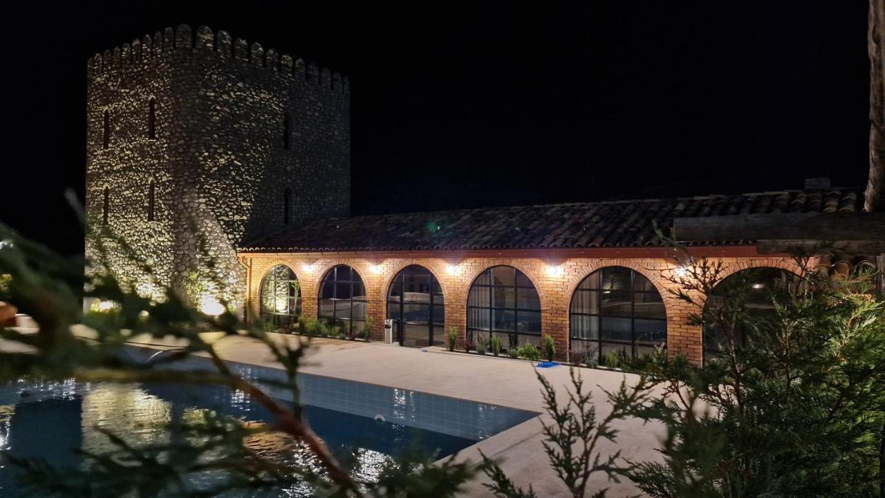 Giorgi Ushikishvilis Chateau-Marani Akhmeta Extérieur photo