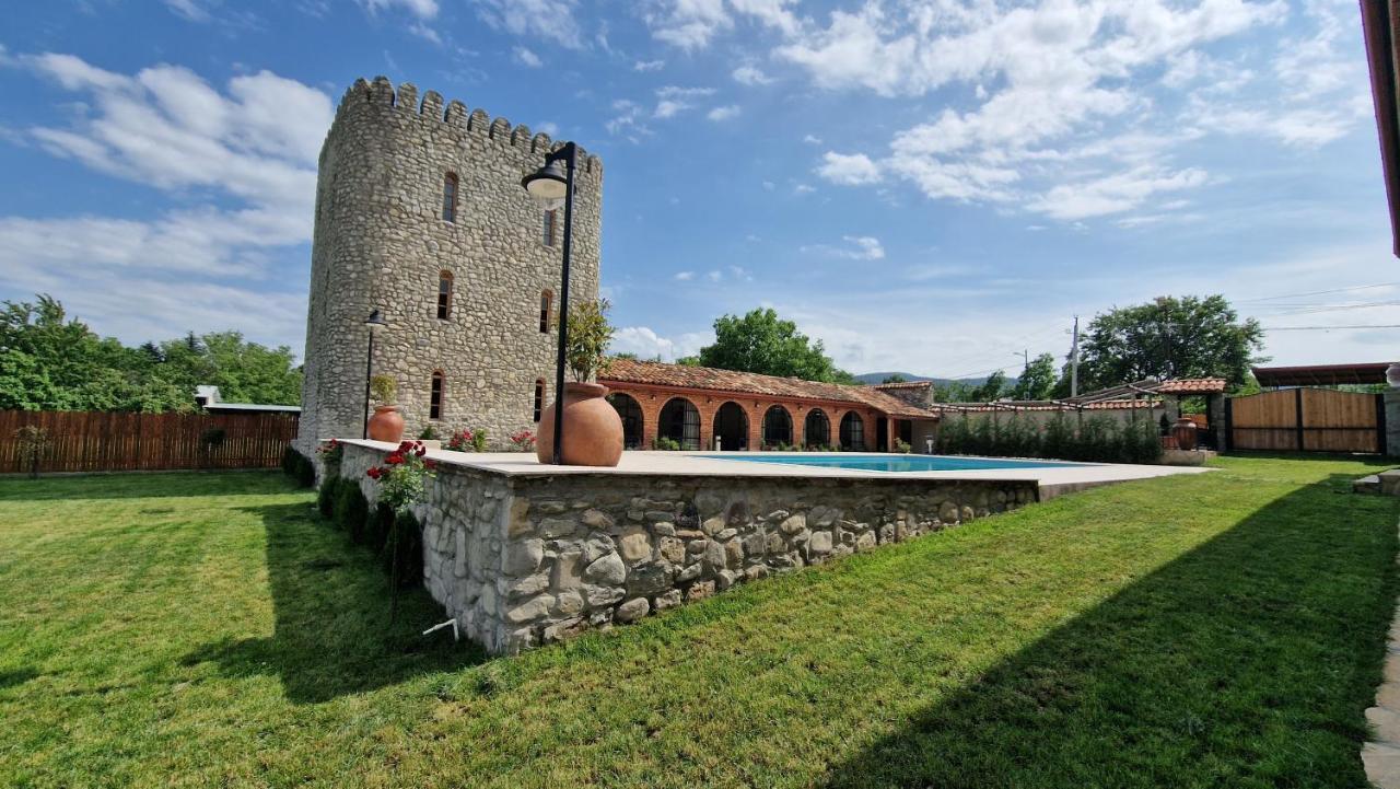 Giorgi Ushikishvilis Chateau-Marani Akhmeta Extérieur photo
