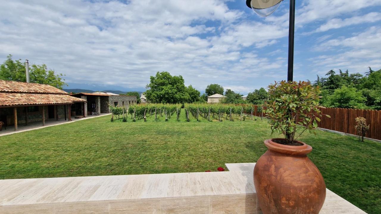 Giorgi Ushikishvilis Chateau-Marani Akhmeta Extérieur photo