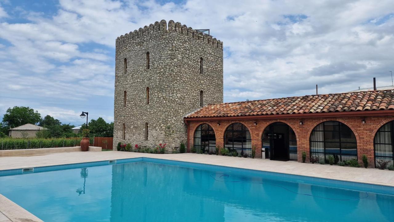 Giorgi Ushikishvilis Chateau-Marani Akhmeta Extérieur photo