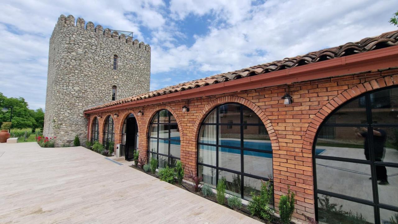 Giorgi Ushikishvilis Chateau-Marani Akhmeta Extérieur photo