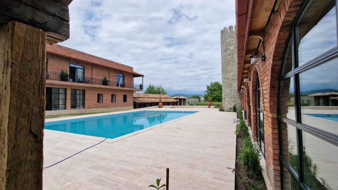 Giorgi Ushikishvilis Chateau-Marani Akhmeta Extérieur photo