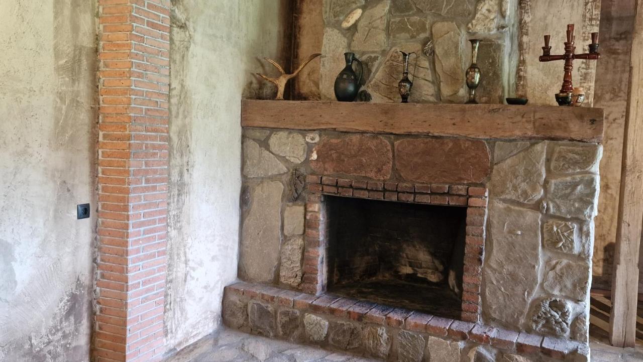 Giorgi Ushikishvilis Chateau-Marani Akhmeta Extérieur photo