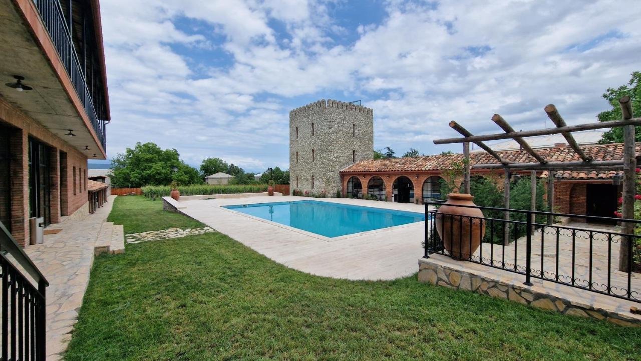 Giorgi Ushikishvilis Chateau-Marani Akhmeta Extérieur photo