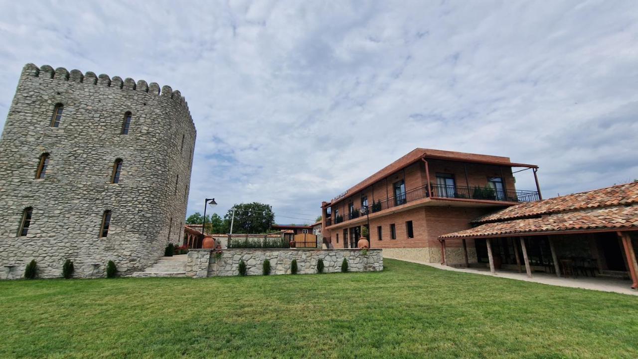 Giorgi Ushikishvilis Chateau-Marani Akhmeta Extérieur photo