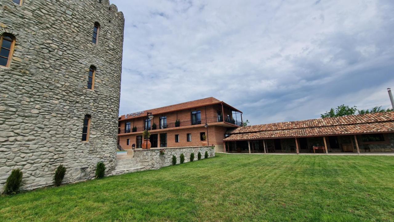 Giorgi Ushikishvilis Chateau-Marani Akhmeta Extérieur photo