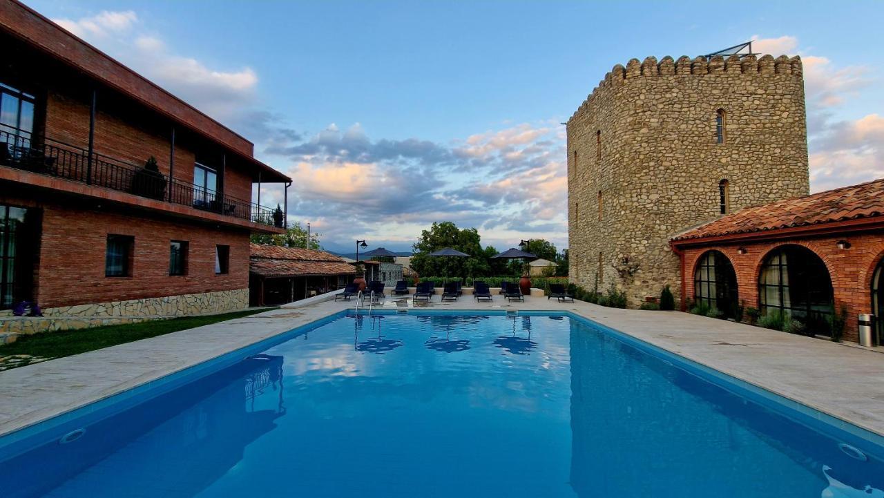 Giorgi Ushikishvilis Chateau-Marani Akhmeta Extérieur photo