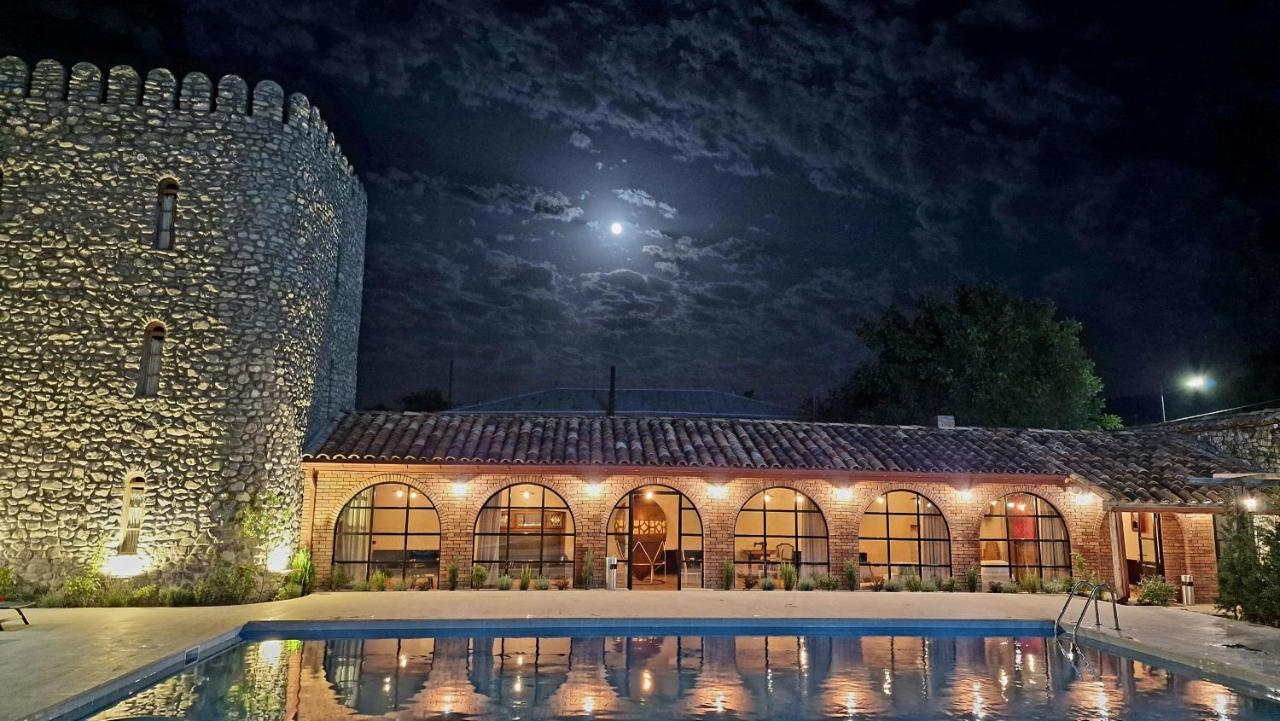 Giorgi Ushikishvilis Chateau-Marani Akhmeta Extérieur photo