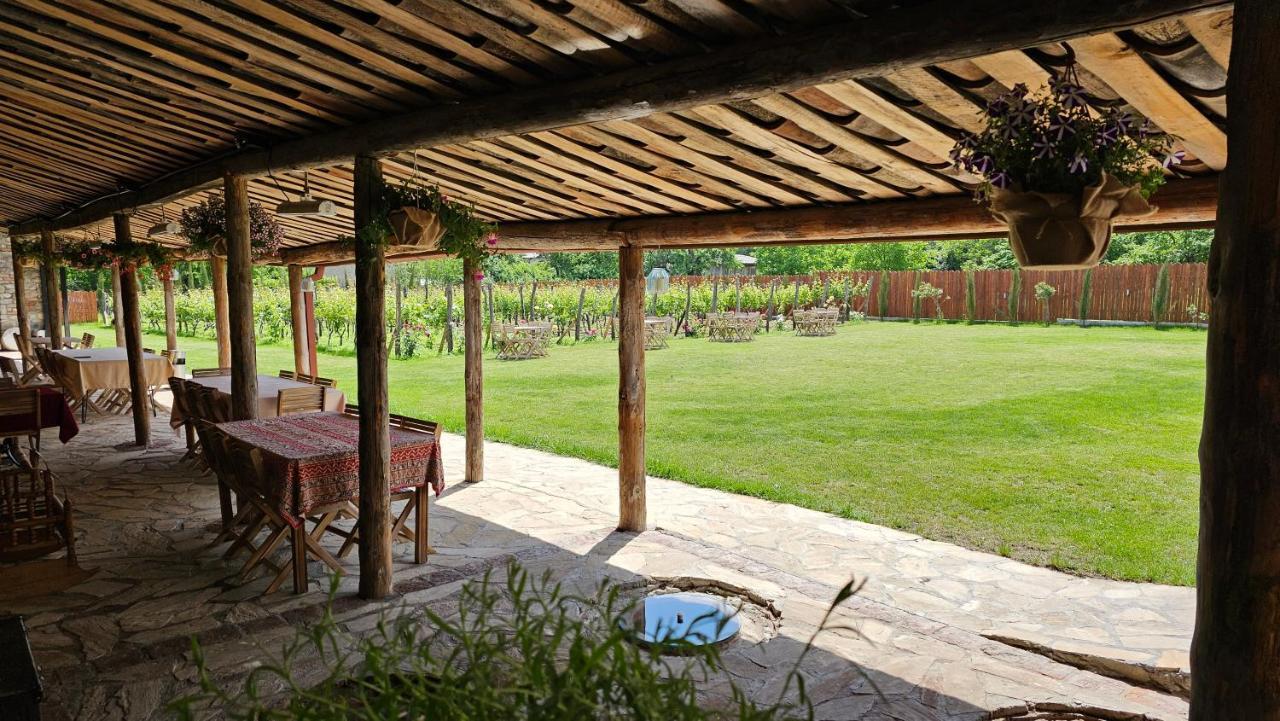 Giorgi Ushikishvilis Chateau-Marani Akhmeta Extérieur photo