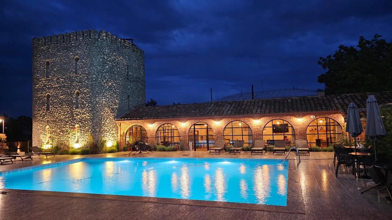 Giorgi Ushikishvilis Chateau-Marani Akhmeta Extérieur photo