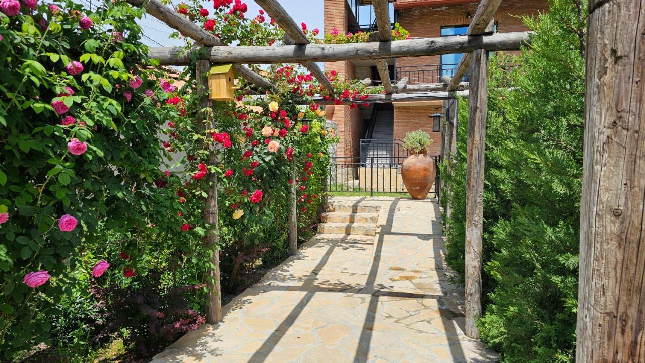 Giorgi Ushikishvilis Chateau-Marani Akhmeta Extérieur photo