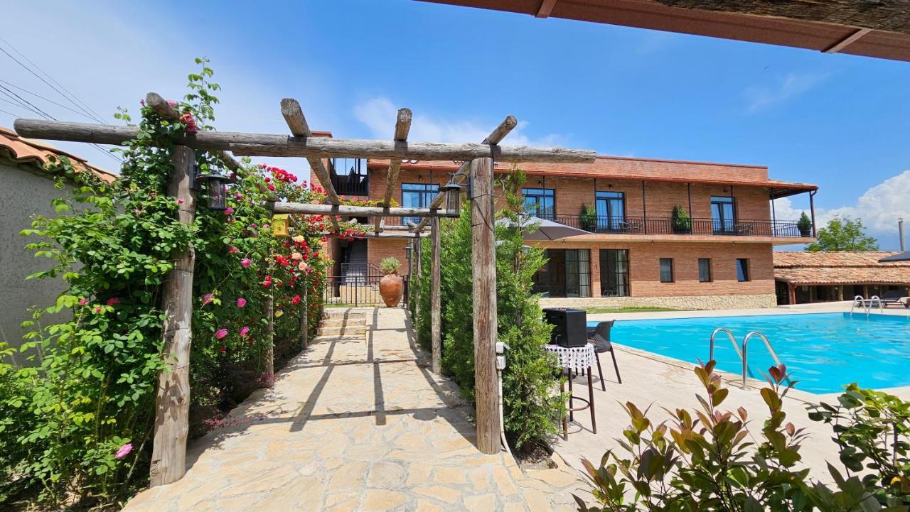Giorgi Ushikishvilis Chateau-Marani Akhmeta Extérieur photo